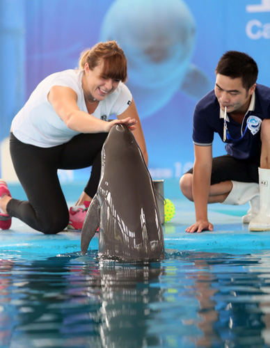 精进技术 精进技术