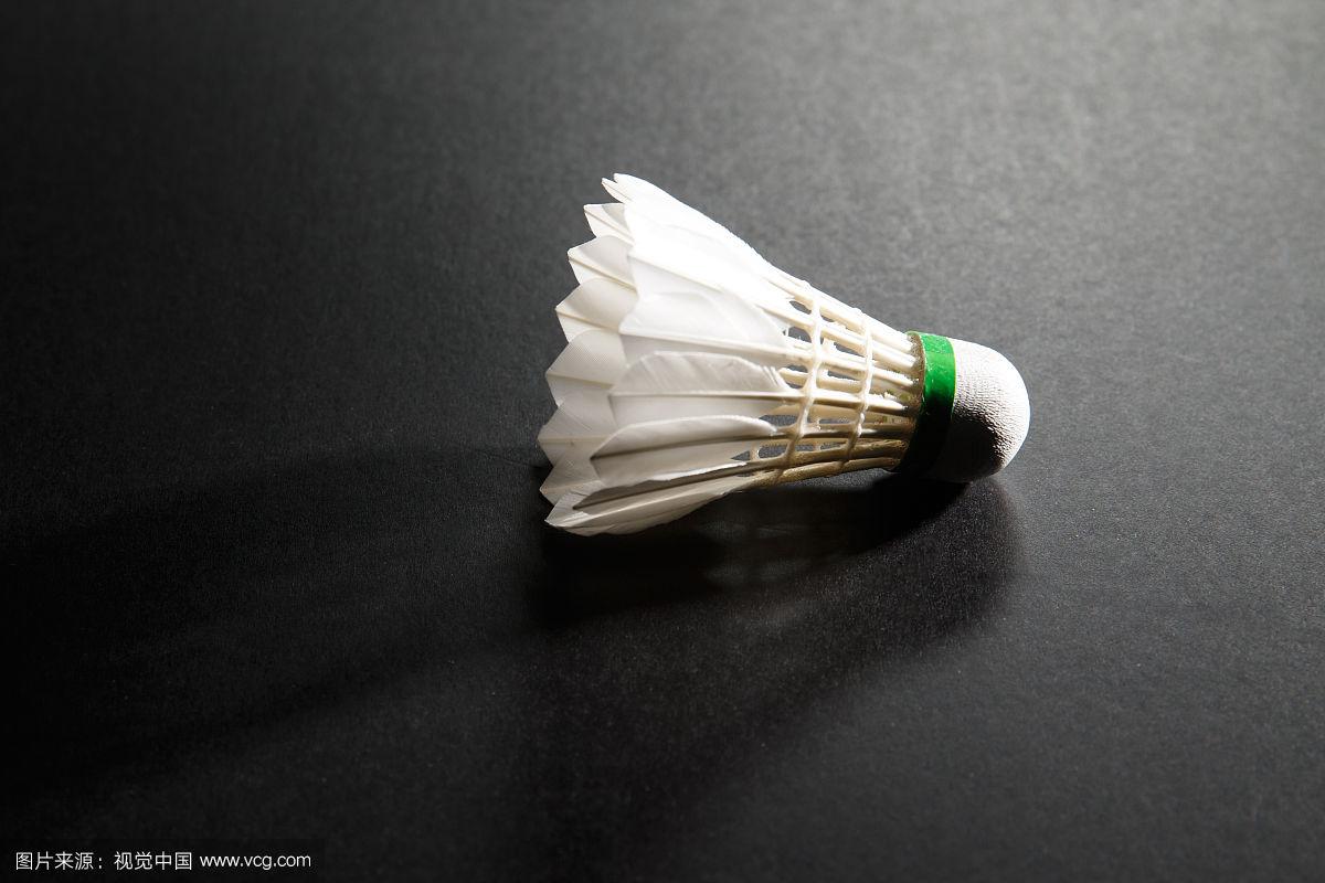 洲冬季运动 洲冬季运动