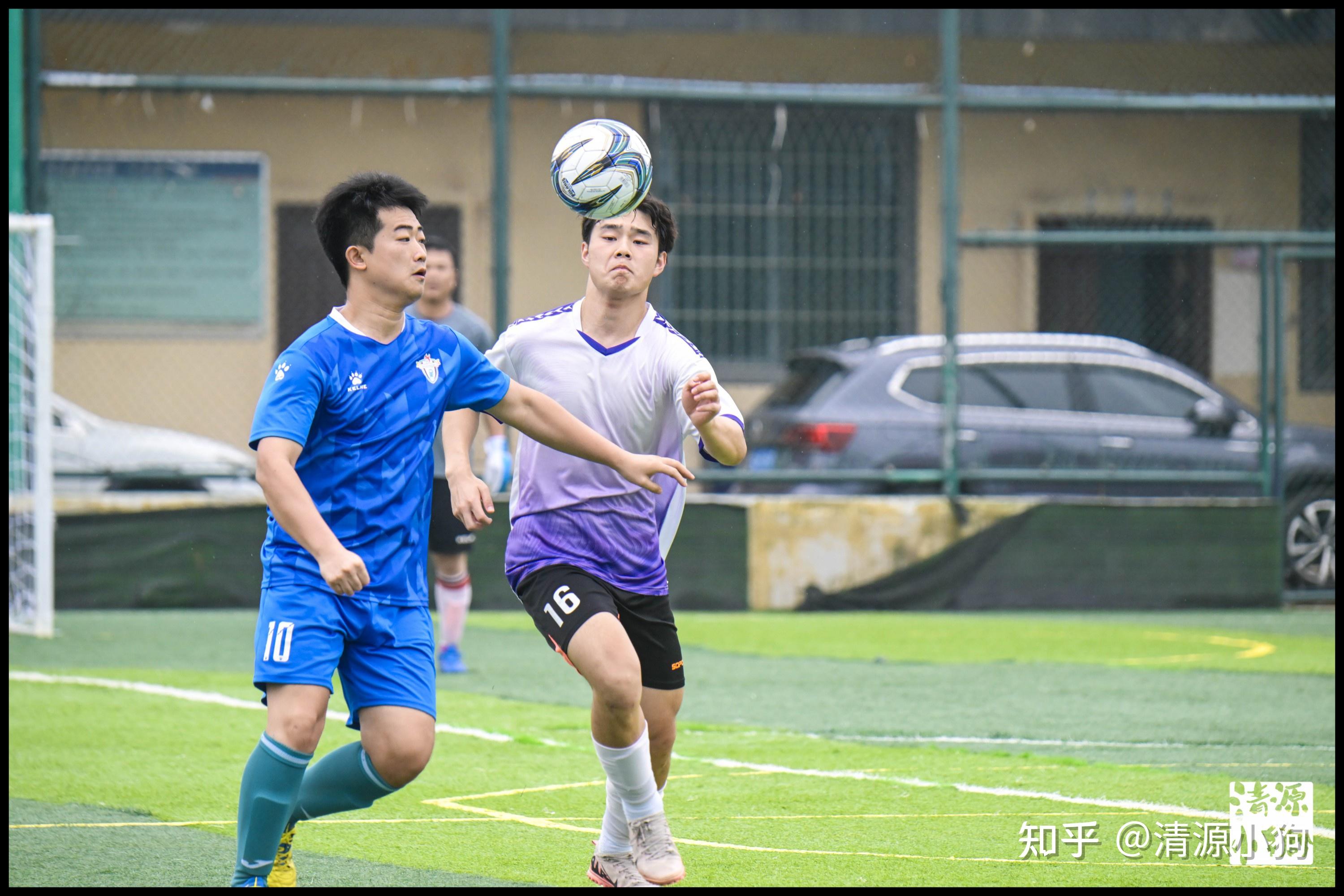 不仅提供了 不仅提供了