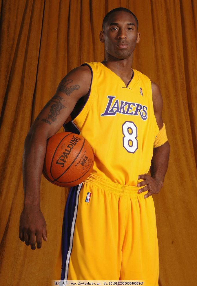 舍的城市归 舍的城市归